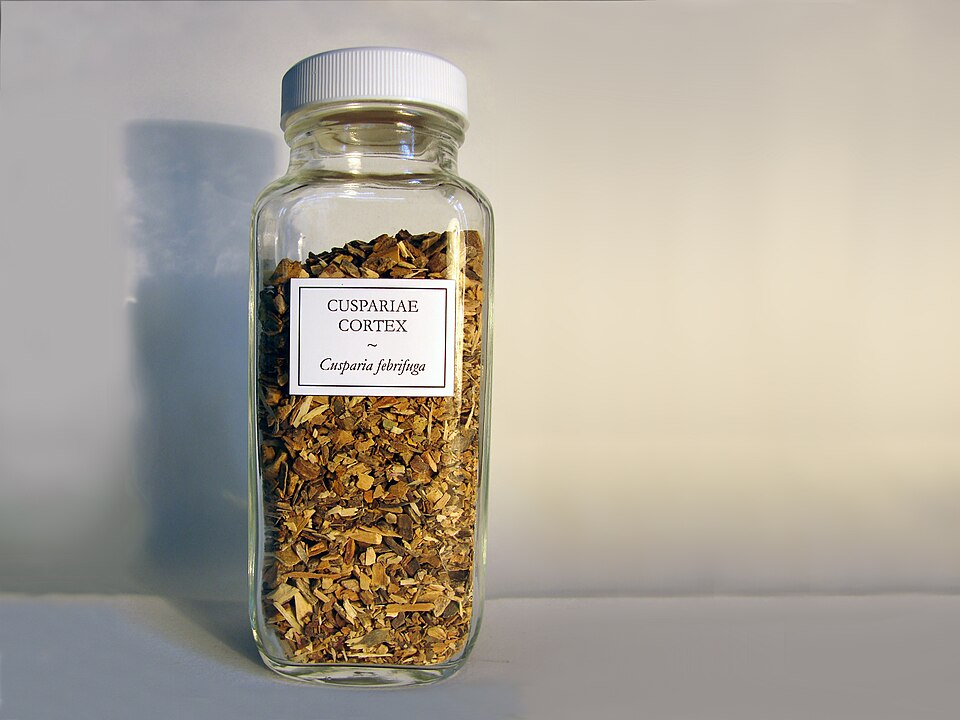 Angostura trifoliata