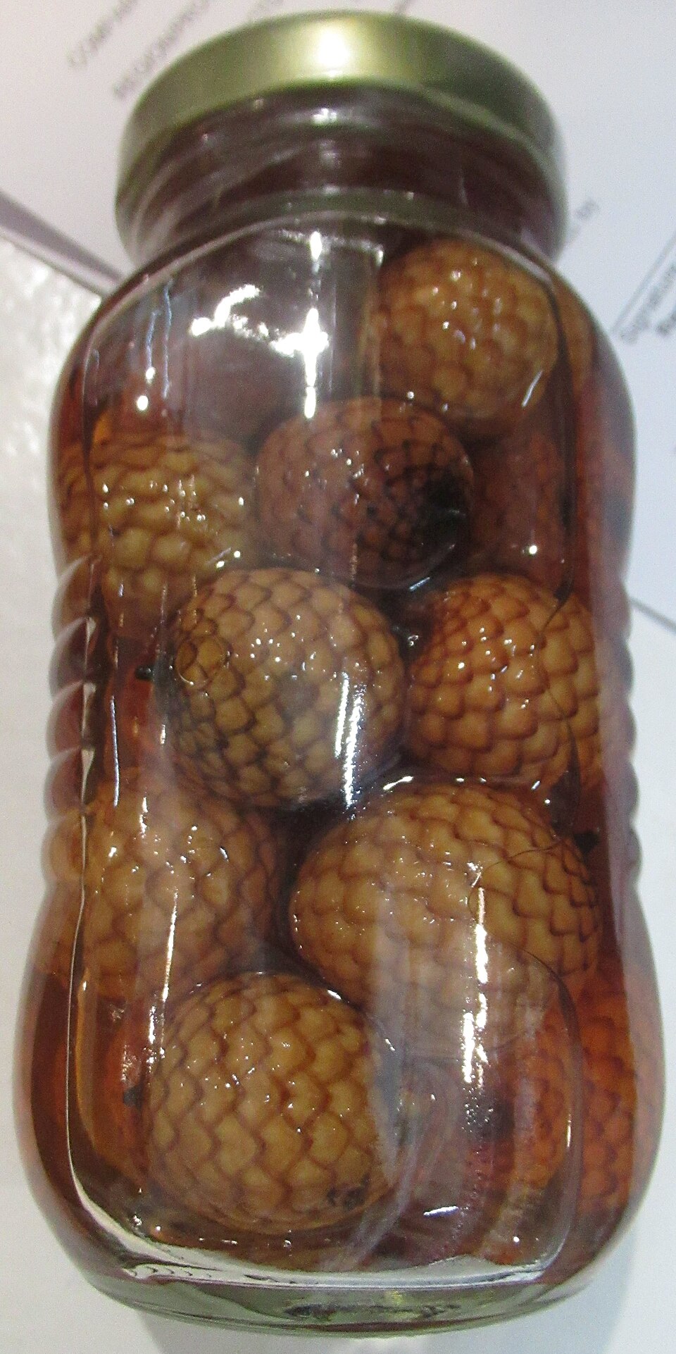 Calamus manillensis (Bayabong) — photo