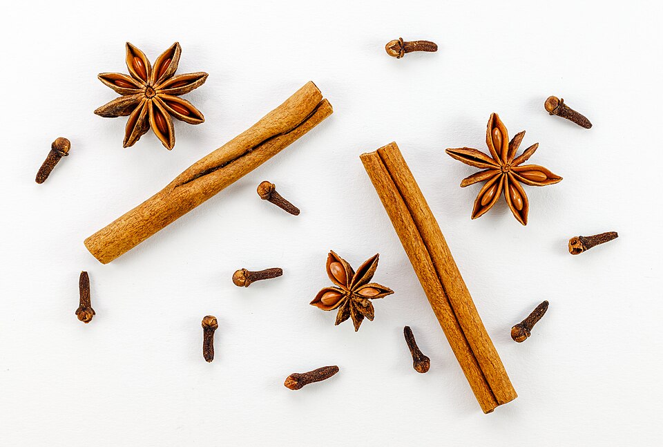 Cassia burmannii