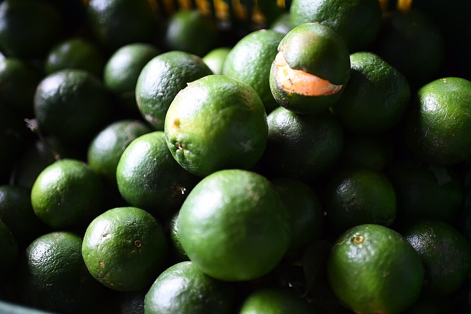 Citrus poonensis — photo