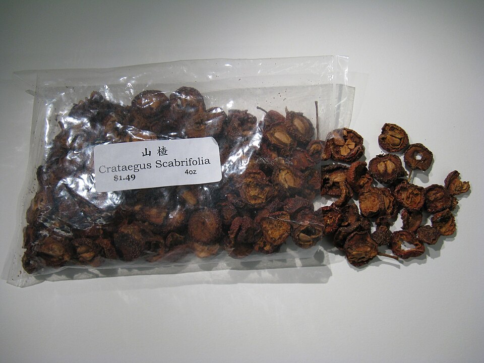 Crataegus scabrifolia (Sanlinguo) — photo