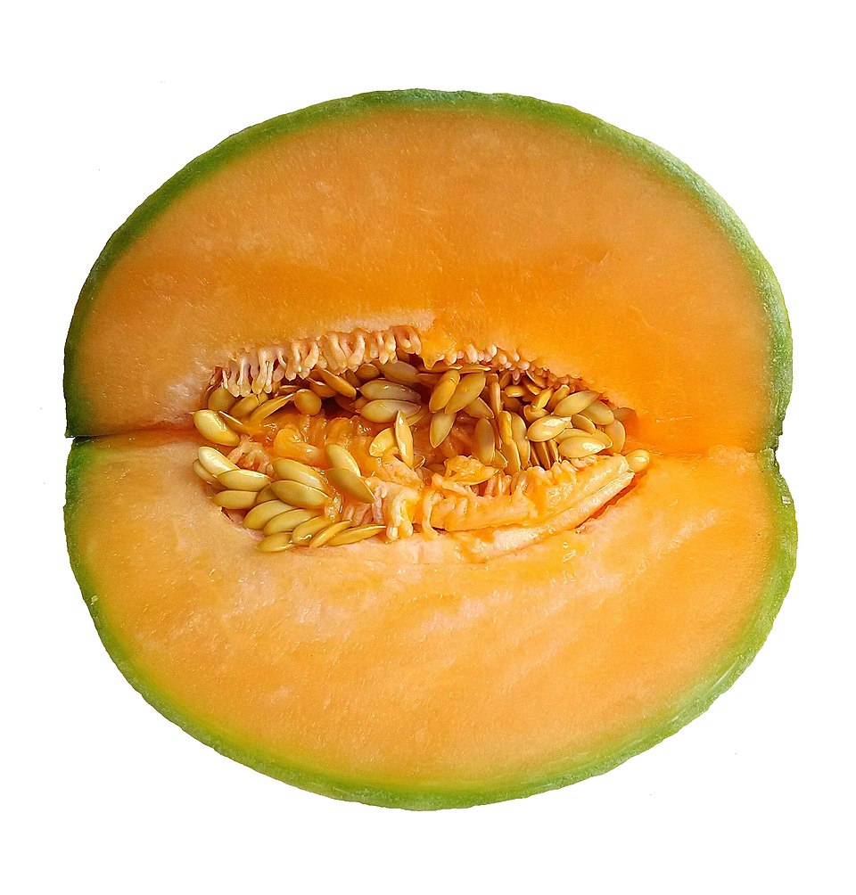 Cucumis utilissimus — photo