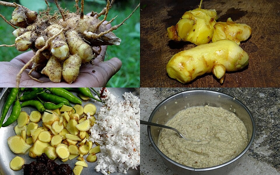 Curcuma mangga