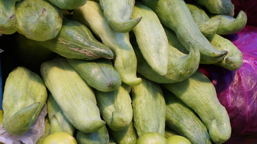Cyclanthera pedata (Calabash gourd) — photo