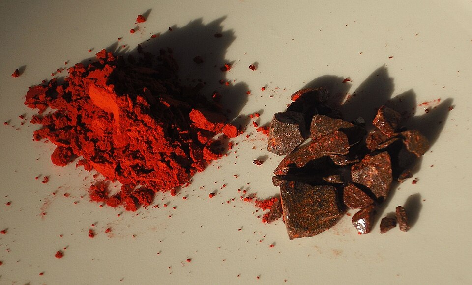 Daemonorops draco (Dragon's blood palm) — photo