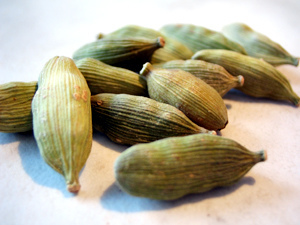 Elettaria cardamomum (Cardamom) — photo