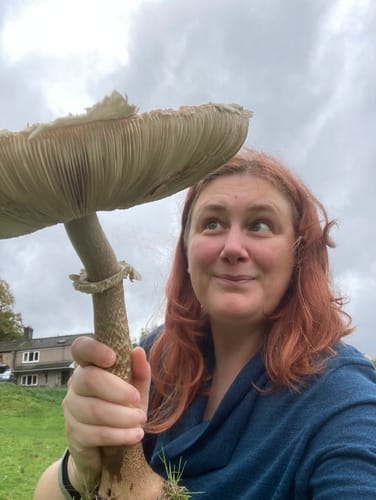 Macrolepiota procera var. vezo — photo