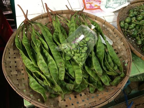 Parkia timoriana (Petai hutan) — photo