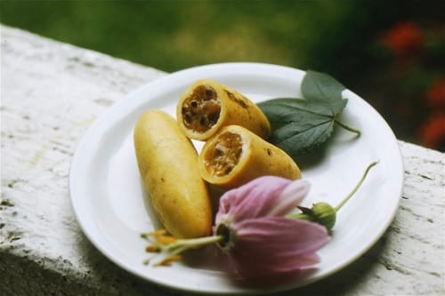 Passiflora tarminiana (Banana passion flower) — photo