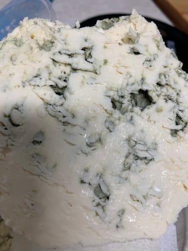 Penicillium roqueforti (Roquefort cheese mould) — photo