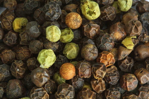 Piper nigrum (Pepper) — photo