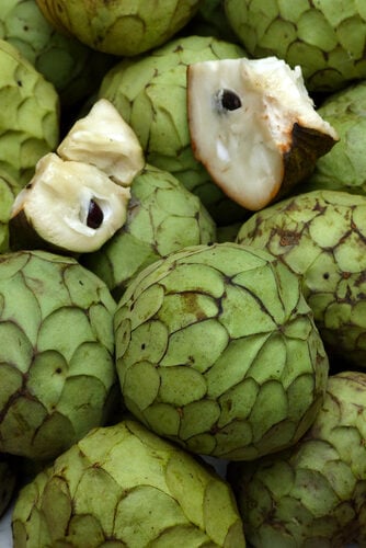 Annonaceae