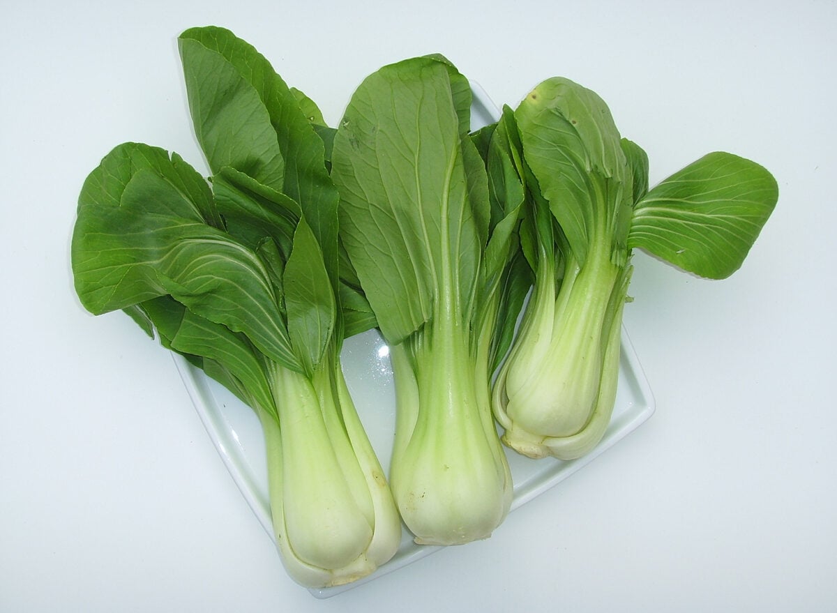 Brassica rapa