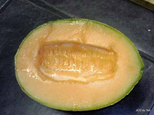 Cucumis melo inodorus