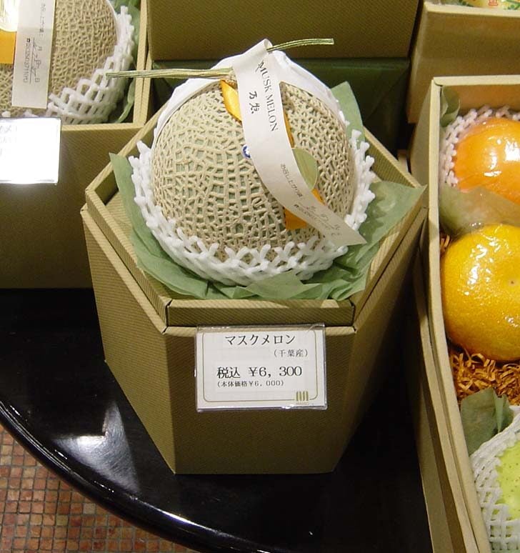 Cucumis melo