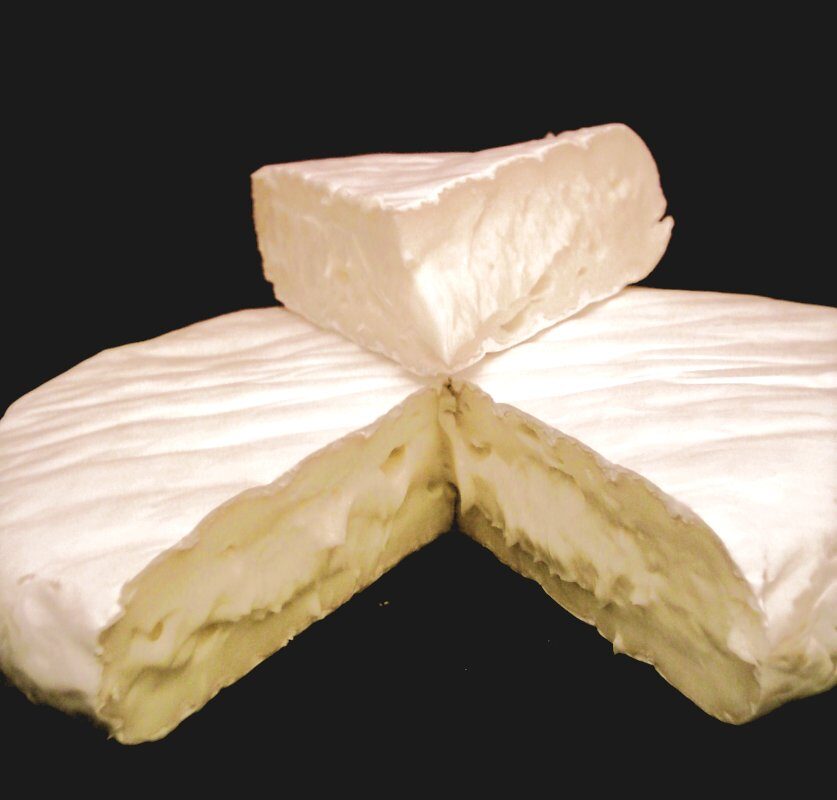 Penicillium camemberti (Camembert cheese mould) — photo