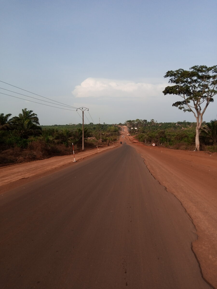 Pinanga isabelensis (Takon) — photo