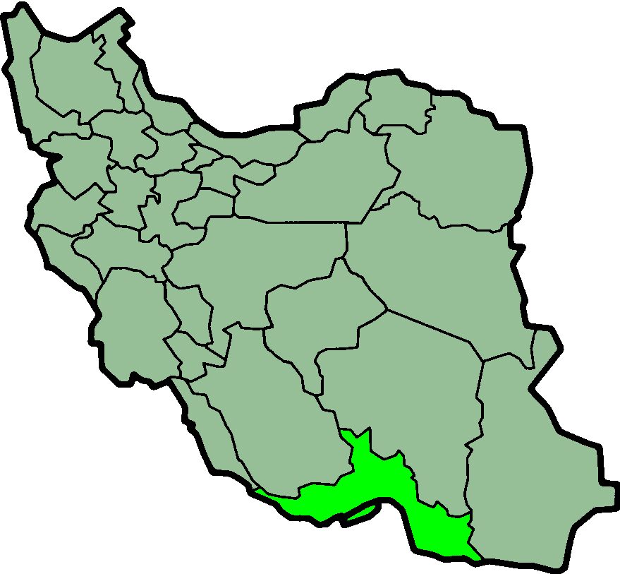 Pinanga woodiana