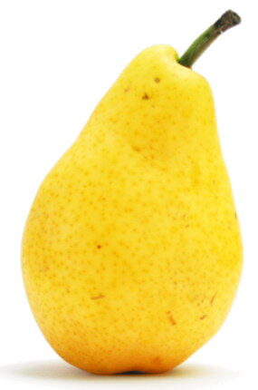 Pyrus acidula — photo