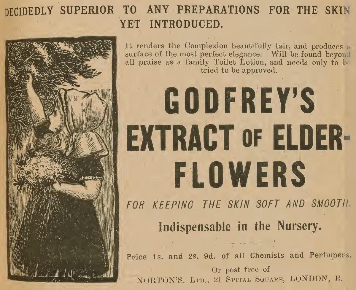European Elderberry