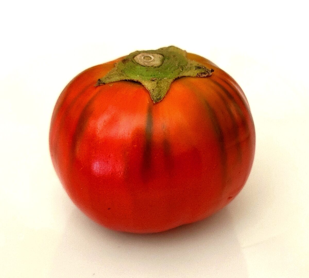 Solanum aethiopicum (Scarlet eggplant) — photo