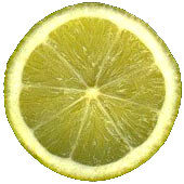 Vepris samburuensis