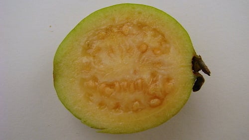Psidium guineense (Brazilian guava) — photo