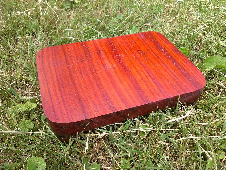 Pterocarpus soyauxii (Camwood) — photo