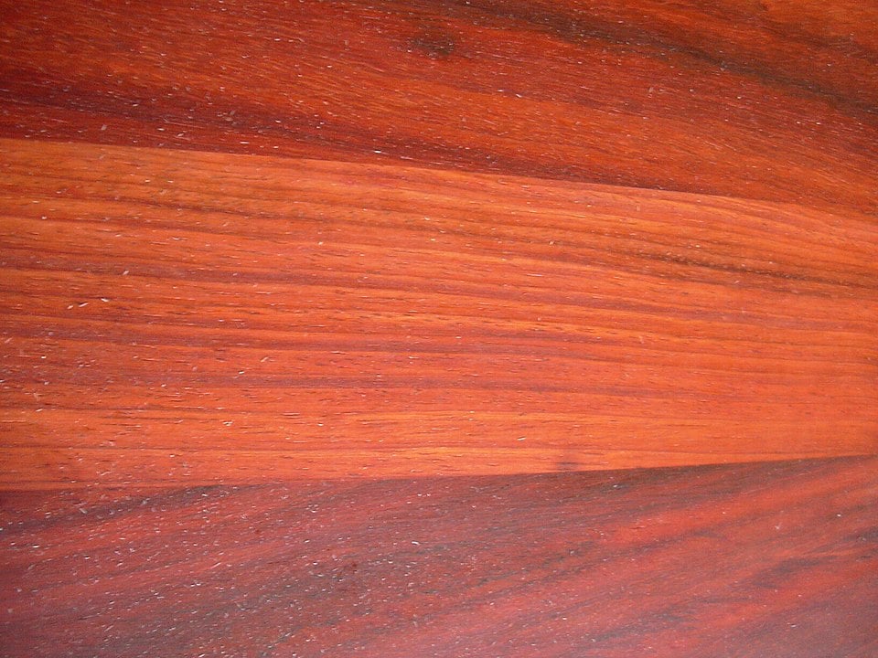 Pterocarpus soyauxii