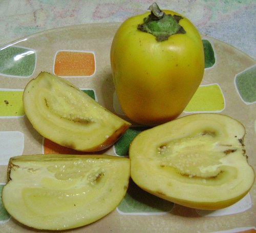 Solanum sessiliflorum var. alibile (Largo lulo) — photo