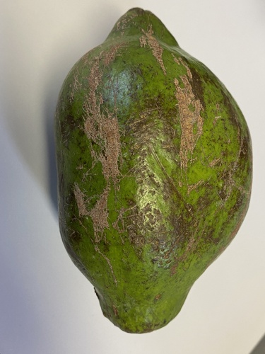 Tontelea passiflora — photo