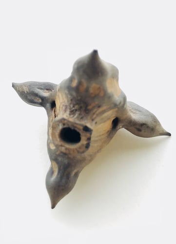 Trapa natans (Caltrops) — photo