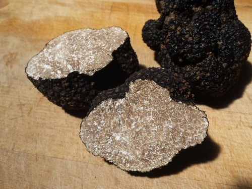 Tuber aestivum (Truffle) — photo