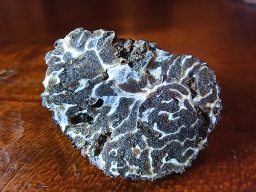 Tuber brumale var. moschatum